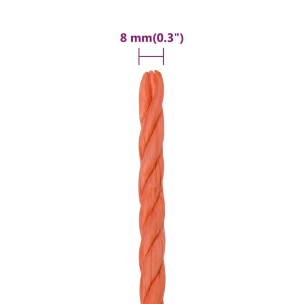 8720287131342_g_en_hd_5.jpg