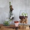 Dekorative Glasschalen & Vasen
