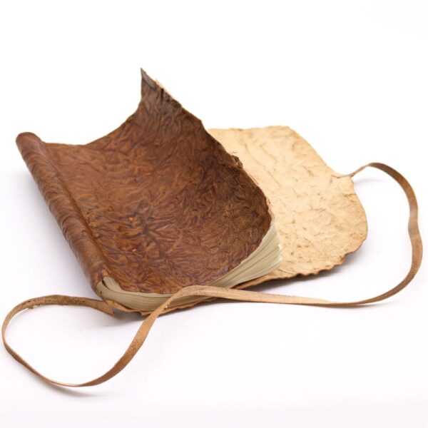 bG9jYWw6Ly9tZWRpYS9TUy9KRC82MFIzMEMxRzZSVzNKRFNTL2Y3ZTVjZmI3LmpwZWc