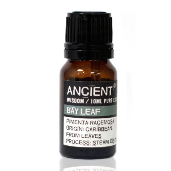 100 % naturreines Bay Leaf Öl 10 ml – würzig, stärkend und durchblutungsfördernd