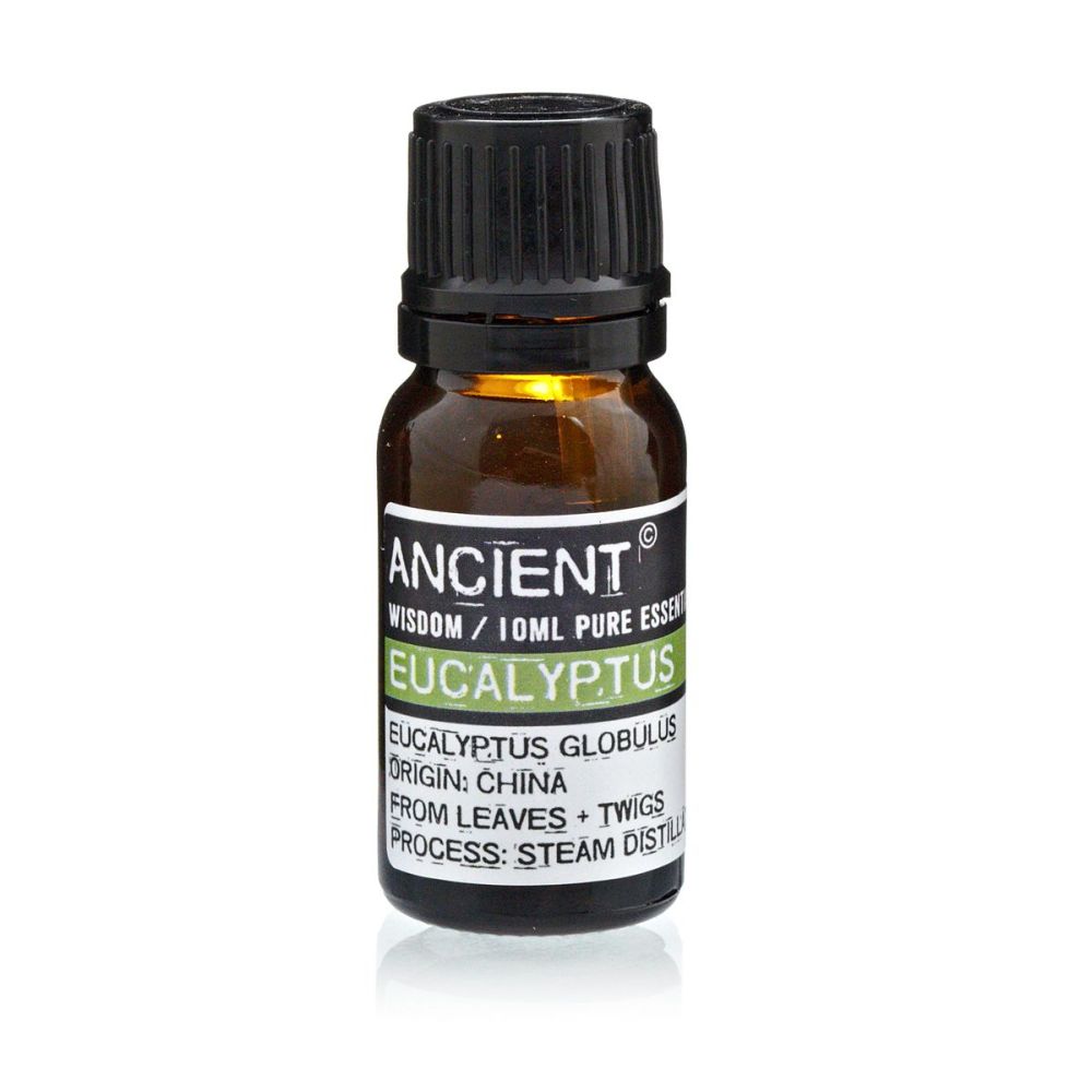 Eukalyptusöl – 100 % naturreines ätherisches Öl - 10 ml