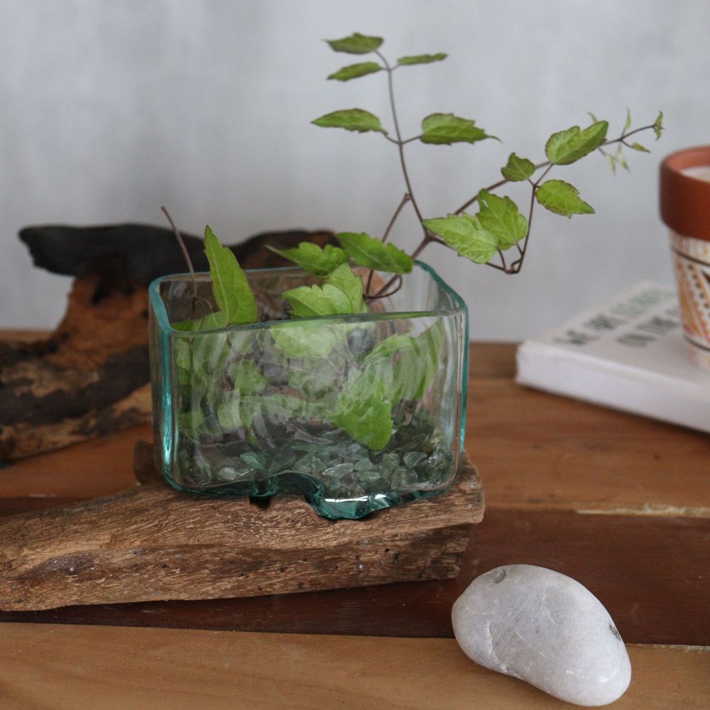 Kleine Design Schale Glas auf Holz – dekorative Bowl mit Holzständer, Unikat