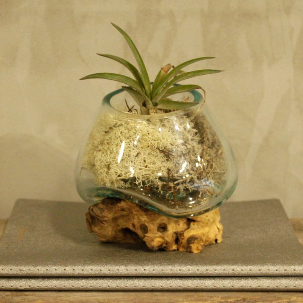 Geschenkidee - handgefertigte Glasschale auf Holz als Deko-Unikat von Bali