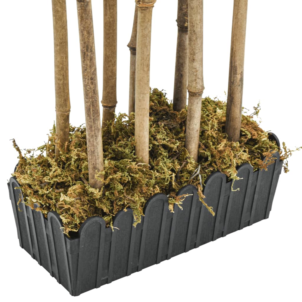 Chinesischer Tempelbambus - Künstlich - Bamboo - Bambus - Büropflanze - Deko