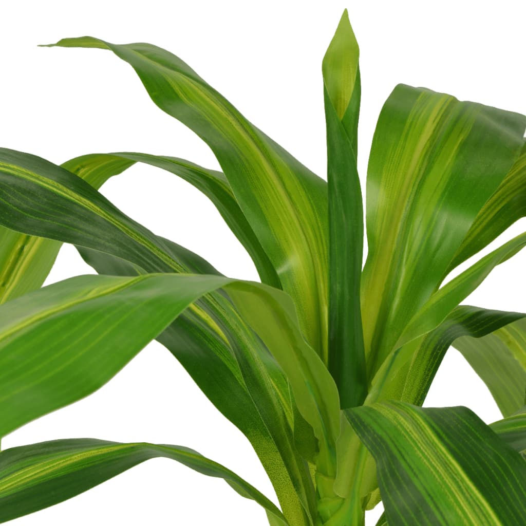 Dracaena draco - Drachenbaum - Zimmerpflanze - Künstlich - Büropflanze - getopft
