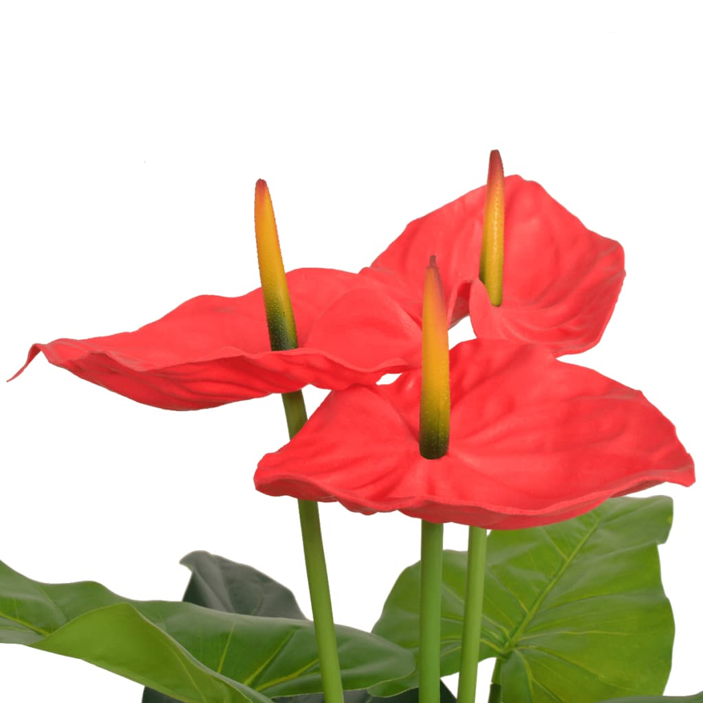 Flamingoblume - Kunstblume - Anthurie - Zimmerpflanze - blülhend - im Topf
